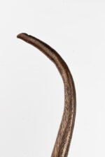 Murmur of Copper & Script - Image 6